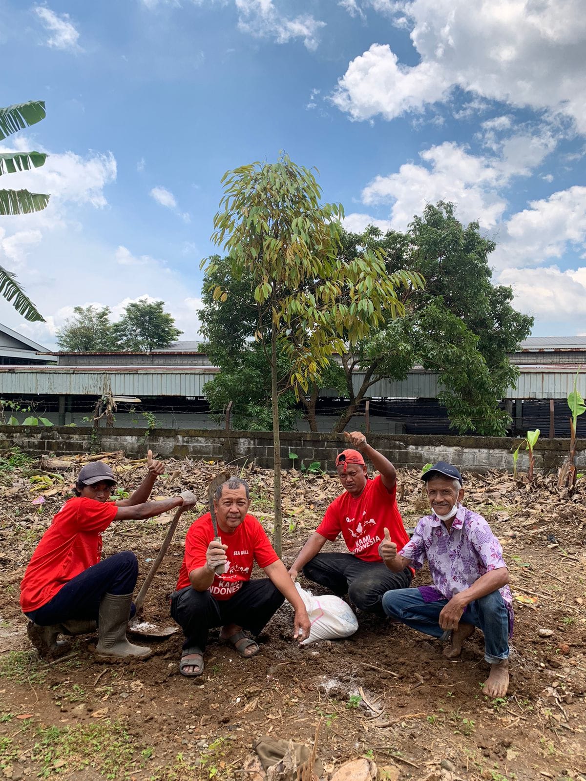 Penanaman Pohon Durian Musang Kim dan Pohon Durian Duri Hitam