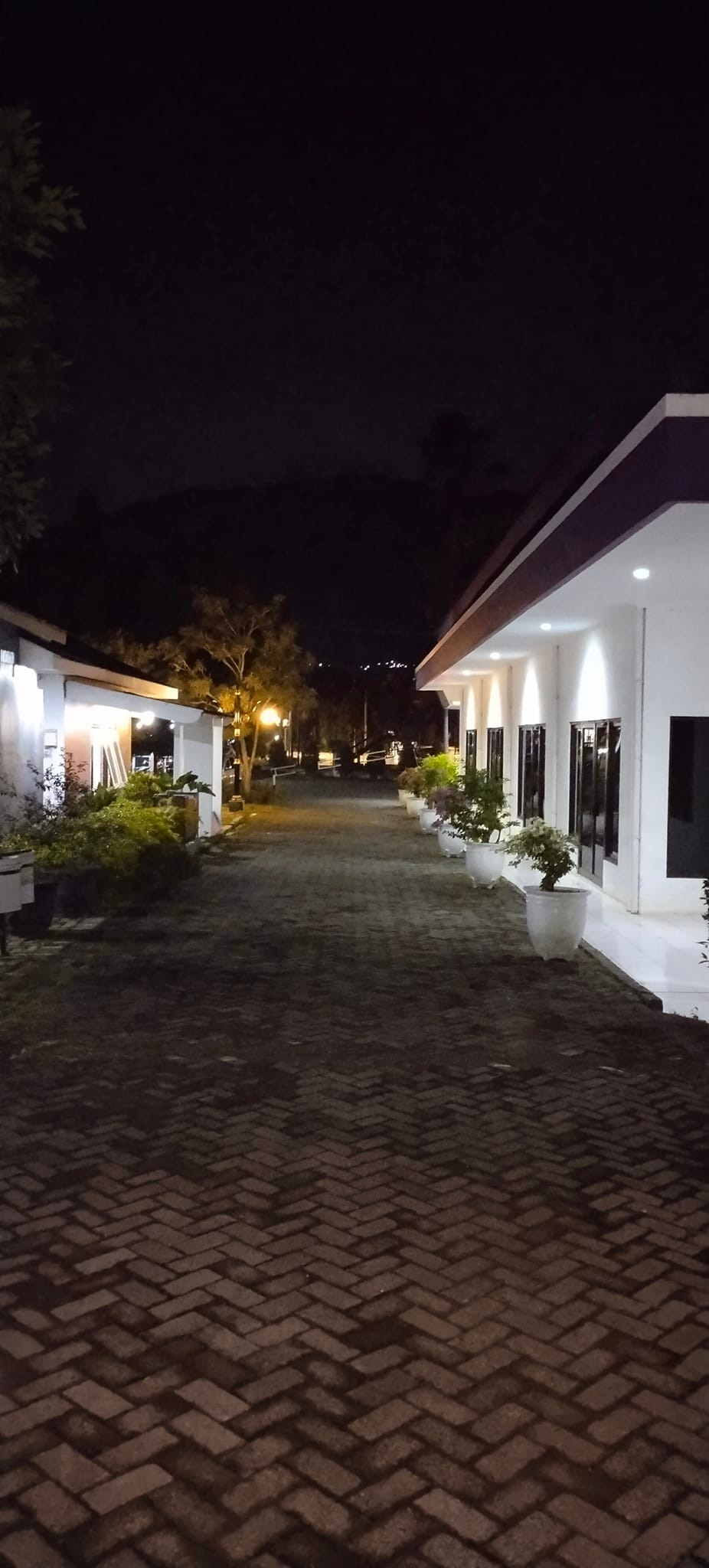 Pemandangan Malam di STT Abdiel dalam menyambut Christmas