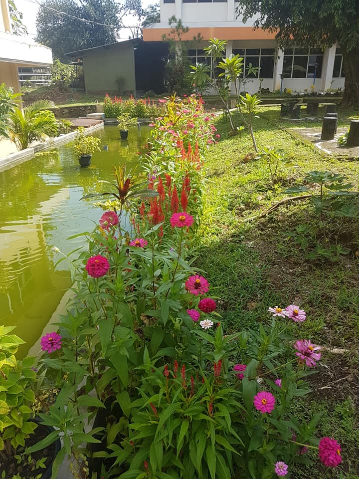 Kolam Ikan
